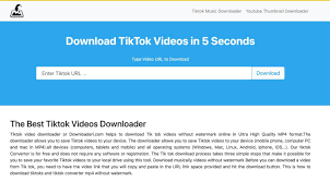 Tiktok es una comunidad global de videos cortos. 8 Free Online Tiktok Video Downloaders No Watermark Included 2021
