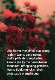 Salah satu contoh spesies tanaman bunga ini yang dapat berbuah rose hips dan. 55 Gambar Bunga Mawar Dan Kata Kata Indah Gambar Bunga Mawar