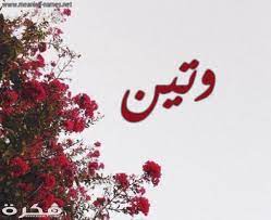 معنى اسم وتين موقع فكرة