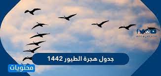 جدول هجرة الطيور 1442 في المملكة العربية السعودية موقع محتويات