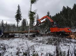 Doosan S300LL Log Loader