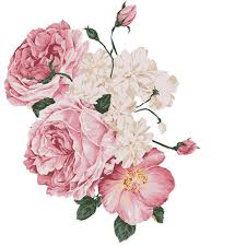 Pin By Tereza Horinkova On Flores Ii Flower Drawing Flower Art Pink Roses