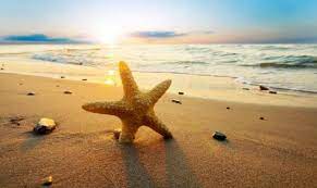 We did not find results for: Kalo Mhna Aygoystos Nemeapress