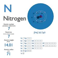 نتیجه جستجوی لغت [nitrogen] در گوگل