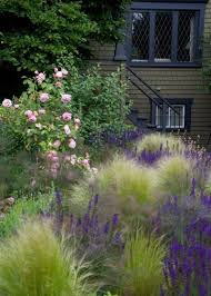 Modern Garten By Cyan Horticulture Graser Und Rosen Sind Unschlagbare Pflanzenpartner Wahrend Die Meisten Rosen Ihre Blut Garten Garten Bepflanzen Vorgarten