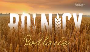 How does this logo maker work ? Rolnicy Podlasie Tvpolsat Info