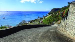 Image result for Staudtia