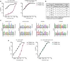 Trim69 Inhibits Vesicular Stomatitis Indiana Virus Vsiv