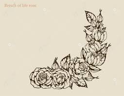 Download 4k wallpapers of best flowers, roses, tulips, lotus, lily, poppy, dahlia, cherry blossom for desktop & mobile phones in high quality hd, 4k, 5k resolutions. Rose Vector Set By Hand Drawing Beautiful Flower On White Background Rose Royalty Free Cliparts Vectors And Stock Illustration Image 107096858