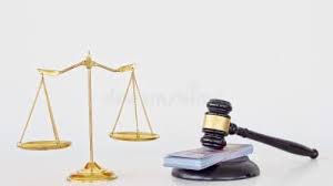 Image result for Justicia engleriana