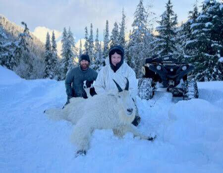 World Class BC "Winter" Mountain Goat Hunts