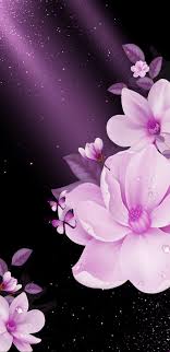 pin by olga on flower flower phone wallpaper floral wallpaper cellphone wallpaper backgrounds