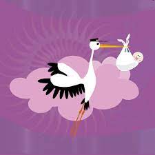 La Ciguena Maria Cuentos Para Ninos