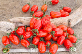 Image result for tomato Datterino