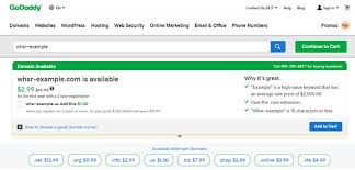 Should You Get Your Domain From Namecheap Or Godaddy Whsr