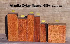 Image result for Afzelia