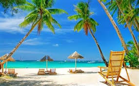 Image result for du lịch phú quốc