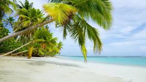 Reading further you will get access to different steps that you must follow to maintain perfect zoom background. Beach Without People Stock Video Footage 4k And Hd Video Clips Shutterstock