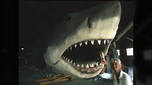 It is the goal of the global shark attack file to demonstrate and emphasize, through forensic analysis, the significance of shark/human interactions in comparison to the myriad dangers that we face in our daily lives. Playing With Sharks Disney Originals