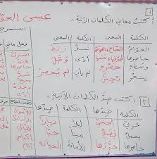 معاني الكلمات العربية الفصحى