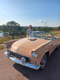 Image result for Buckskin Tan 1956 Thunderbird