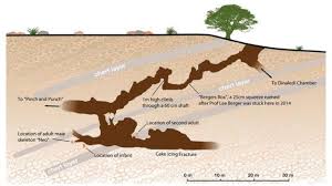 Homo naledi appears to have lived near the same time as early ancestors of modern humans. Homo Naledi El Descubrimiento Que Puede Reescribir La Historia Sobre La Evolucion Del Ser Humano Bbc News Mundo