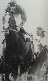 Pin By Valerie Fournier On Shergar Horse Photography Horse Rider Horses