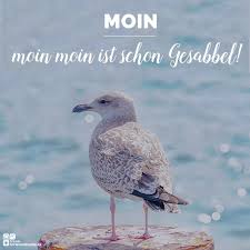 Pin Von Trend Ferienwohnung De Auf Sehnsuchtsspruche Urlaub Ferien Moin