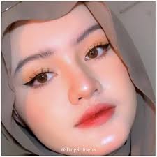 Jual Softlens Evy Brown Grey Steel Sepia Lensa Natural Tanpa Ring Bisa  Minus Normal Korea Free Lens Caseo