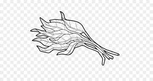 Secara taksonomis, ikan tersebut termasuk dalam. Leaf Drawing