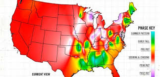 Whitetail Activity Rut Report Interactive Map Sporting