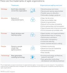 How To Structure Agile Companies A Developing Story