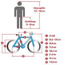 Galano Infinity 29 Zoll Mtb Hardtail Mountainbike Fahrrad Shimano 24 Gange Pentagonsports De