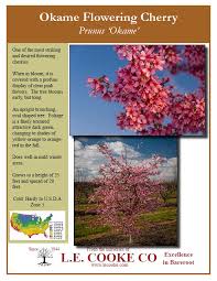 We did not find results for: Flowering Cherry Trees