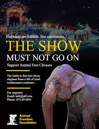 Animal Rights And Welfare Flyer Template Social Awareness Posters Awareness Poster All About Elephants