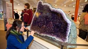48 просмотров 1 неделю назад. Exhibitions Harvard Museum Of Natural History