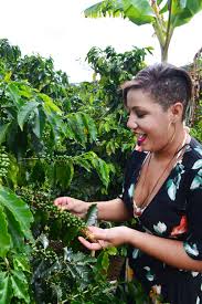 Sugar was a more important crop. Top 5 Best Puerto Rican Coffee Of 2021 Beans Brands Reviews