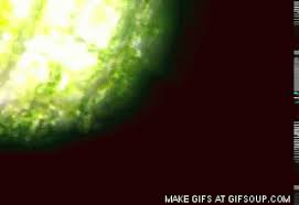 Check spelling or type a new query. Plant Pflanze Plante Gif On Gifer By Feshura