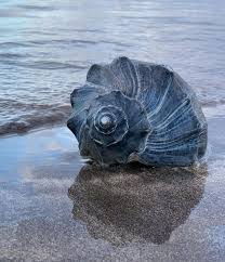 Sandra Rosell (rosellsa)