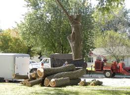 Our tree services include but are not limited to; Eddie S Tree Removal 4617 S Il Route 47 Woodstock Il Landscaping Mapquest
