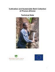 Image result for Polysphaeria dischistocalyx