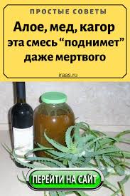как сделать лекарство из алоэ и меда для желудка Aloe Med Kagor Eta Smes Podnimet Dazhe Mertvogo Eta Zhe Smes V Toj Zhe Dozirovke Rekomenduetsya Dlya Lecheniya Tuberkuleza Zdorove Sovety Zdorove Ot Prirody
