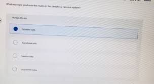 The more questions you get correct here, the more random knowledge you have is your brain big enough to g. Solved Synaptic Potentials Are Due To The Opening Of What Chegg Com