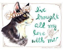 Cybergata Cats Memes New Mexico Crazy Cats Inappropriate Cat Pretty Cats