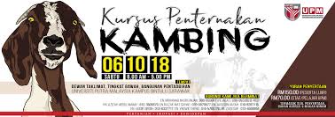 Kami mengkhususkan diri dalam menyediakan kambing, dan domba organik dan produk susu kambing, perusahaan kami mampu untuk menyediakan semua kambing & layanan yang berkaitan dengan. Kursus Ternakan Kambing 2018