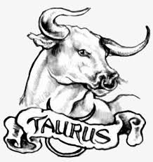 Banner tattoos for girls, men & women. Black And Grey Taurus Head With Banner Tattoo Design Taurus Tattoo Transparent Png 900x900 Free Download On Nicepng