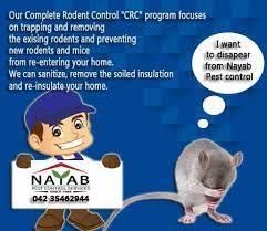 At chemtec pest control, we love options, especially when it comes to termites. Nayab Pest Control Service Nayab Pest Twitter