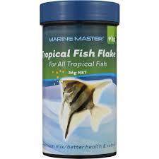 Vitapet Fish Food Tropical Flake 36g Woolworths