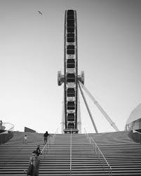 Anthony Ciancio (@anthciancio)