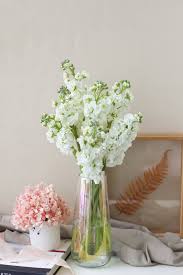 Image result for Matthiola